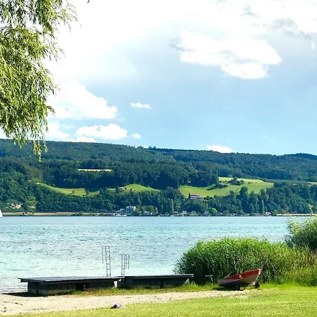 Seesprung Am Bodensee