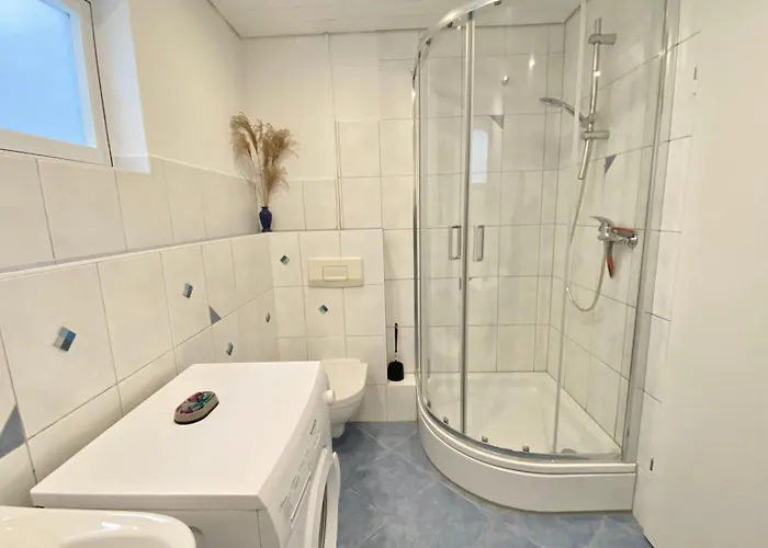 Seesprung Am Bodensee *